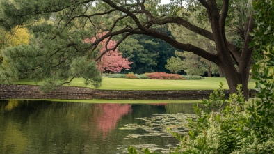 holden arboretum